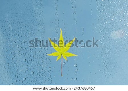 raindrops falling over a glass window
