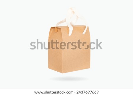 Brown paper bags isolated on white background.Recycled paper shopping bag.nature conservative concept.