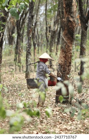 Rubber Plantation workers in the village
