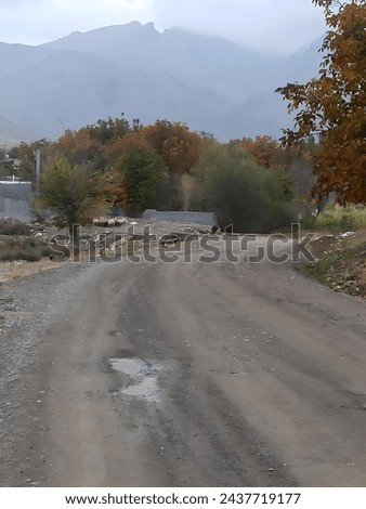 Dirt road leading to misty mountains, flanked by green and autumn-colored trees under a grey sky