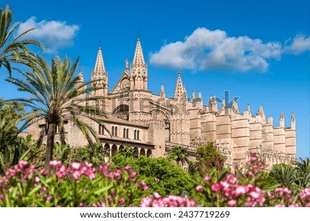 Cathedral La Seu of Palma de Mallorca - 7537 Royalty-Free Stock Photo #2437719269
