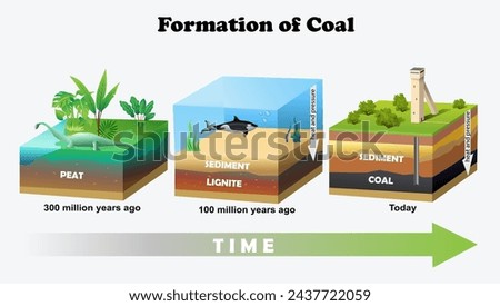 Formation of Coal diagram. Science education vector 3d illustration Royalty-Free Stock Photo #2437722059
