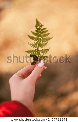 A delicate hand cradles a tiny fern, showcasing the beauty and intricacy of nature in a serene and minimalist composition