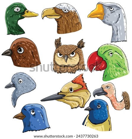 Science of diagrams of different beaks-of-birds clipart page for kids. Vector  Vector illustration of  
diagrams of different beaks-of-birds isolated on white background.