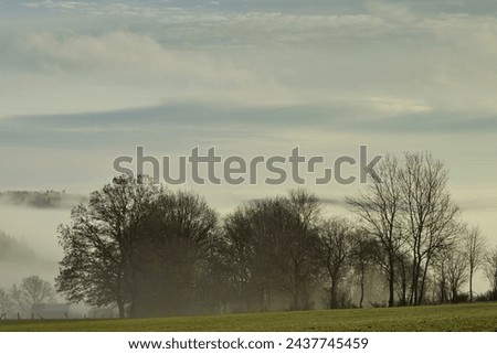 At eight o'clock in the morning, the blue sky with its clouds and the fog refine the picture. The fog lies in the valley and disappears into the distance.
