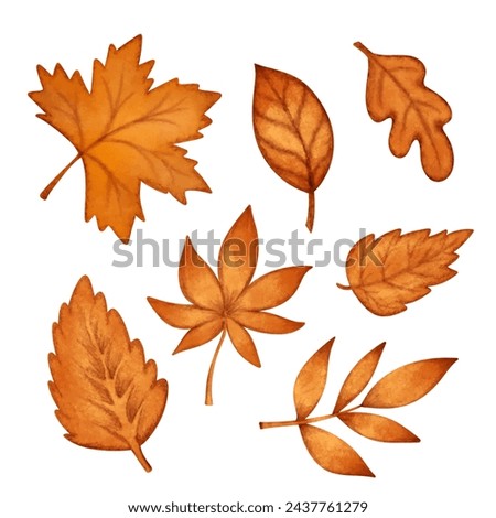 Set watercolor autumn orange leaves