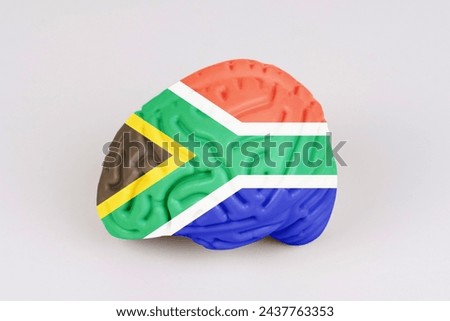 On a white background, a model of the brain with a picture of a flag - South Africa. Close-up