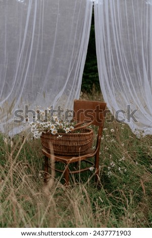 Vintage chair with basket full of white summer flowers dandelions still life photography outdoors natural light summer evening white curtains