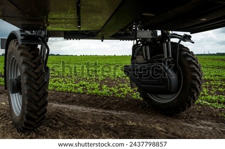 view of a field of beets from under a self-propelled sprayer, agriculture, processing Royalty-Free Stock Photo #2437798857