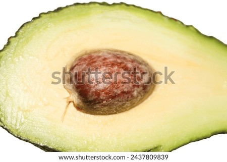 Sliced Green avocado with a brush on a white isolate. Stock image of fruit in good quality. Close-up.