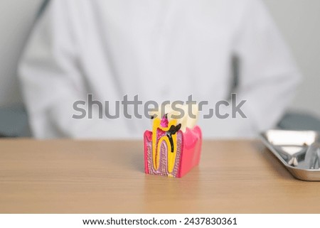 Dentist with tooth Anatomy model. Oral Teeth decay and disease, Scrape off tartar. March Oral health, Dentist Day, False Teeth. Toothache and Children Dental Health Month and Orthodontic Health Day Royalty-Free Stock Photo #2437830361