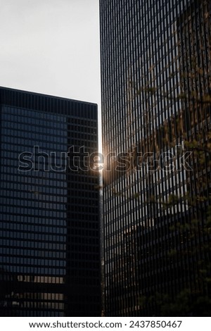 Sunset in the business district of Toronto, Canada. Shallow depth of field.