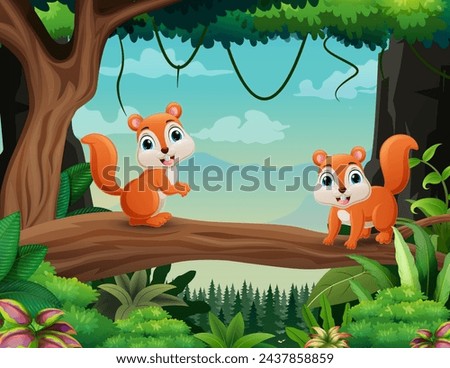 Cute two squirrels enjoying on tree branch