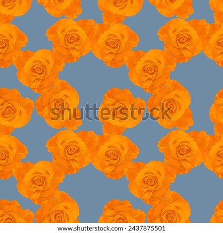 Rose flower. Decorative art-deco design element, floral ornament. Seamless pattern for bandana, shawl, hijab, neck scarf. Kerchief design or tablecloth print, scarf, towel. For textile, cotton fabric. Royalty-Free Stock Photo #2437875501