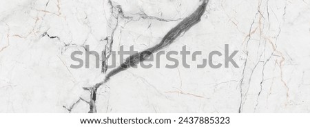 Luxury White and black art  Marble texture background vector. Panoramic Marbling texture design for Banners, invitations, wallpaper, headers, website, print ads, and packaging design templates.