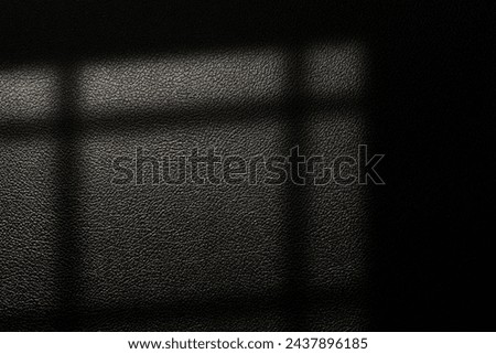 Window natural shadow overlay effect on concret texture background, for overlay 
backdrop and mockup, summer seasonal concept