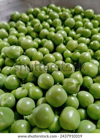 CLOSE UP PICTURE OF PEA.MACRO OF PEA. NATURAL PICTURE OF PEA. HD PICTURE OF PEA. 