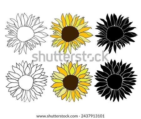 Sunflower head hand drawn elements set for design. Silhouette, line art black ink and colorful flower. Vector clip art for logo, coloring page, isolate on white background.