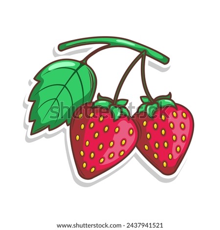 hand draw strawberry fruit illustration art