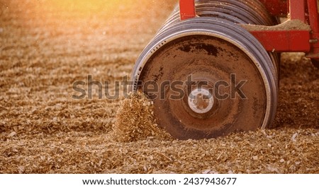 Tractor working with silage at dairy farm, compacting fresh harvest chopped maize with heavy roller for silo, fermented feed for food of cow. Royalty-Free Stock Photo #2437943677