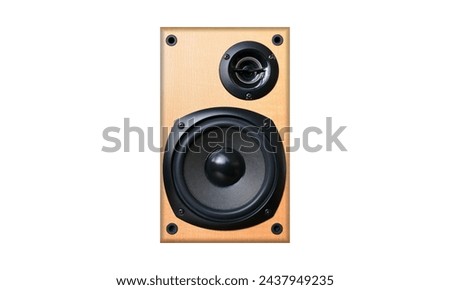 Acoustic speakers in plane wooden body, on white background

