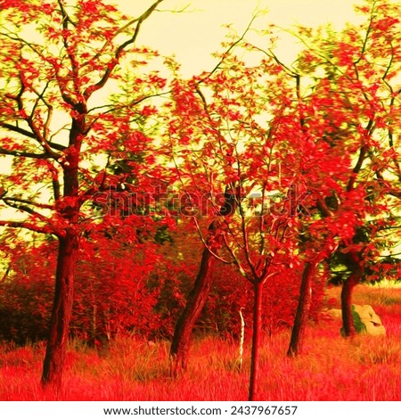 Beautiful colored nature, red landscape, red trees and grass, yellow sky, natural background, NO AI