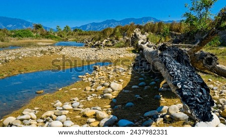 Babai River, Wetlands, Royal Bardia National Park, Bardiya National Park, Nepal, Asia Royalty-Free Stock Photo #2437982331