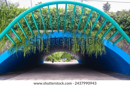 view of the iconic tunnel at the wisdom park of Gadjah Mada University, Yogyakarta. Blue paint tunnel design with aesthetic vines Royalty-Free Stock Photo #2437990943