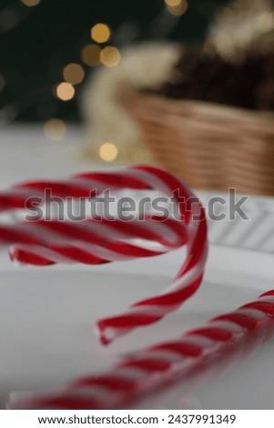 christmas festive celebrate holiday sweet