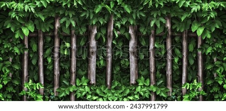 Old wooden fence of their poles overgrown with foliage