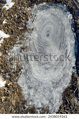 Iced over puddle in mid spring cold snap Royalty-Free Stock Photo #2438019263