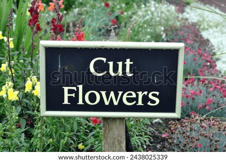 Close Up of Garden Sign 'Cut Flowers'