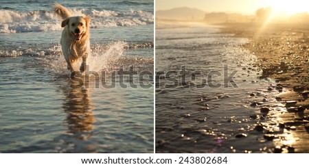 Sunrise on a beach in Spain. Dog running on sand beach. Summer in Spain. Mosaic of two pictures. City on a background. Landspace, romantic view. Postcard from holidays