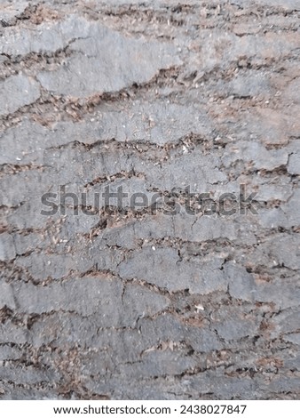 Background texture design, Background of wood, wood, background