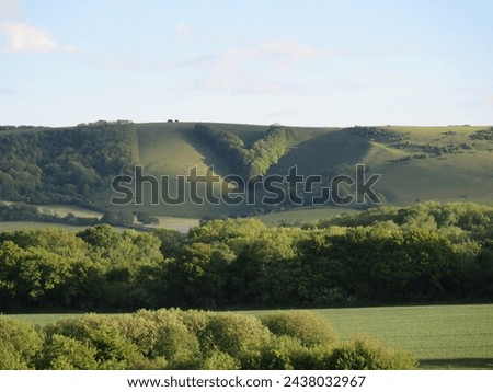 V shaped woodland on the South Downs Royalty-Free Stock Photo #2438032967