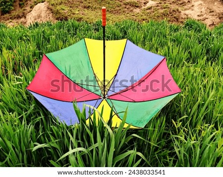 Colorful umbrella in greenery stock photography 