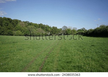 Scenic landscape view of an open spacious lush green farm field and clear blue sky above on a summer day