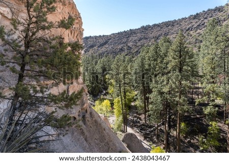 Bandelier National Monument preserves Ancestral Puebloans home in New Mexico. View of Frijoles Canyon from Alcove House. Trail to Alcove House over Frijoles creek.  Royalty-Free Stock Photo #2438043467