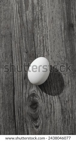 Pictures with eggs on a gray background