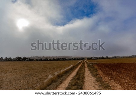 Road through rural lands with sky backgrounds