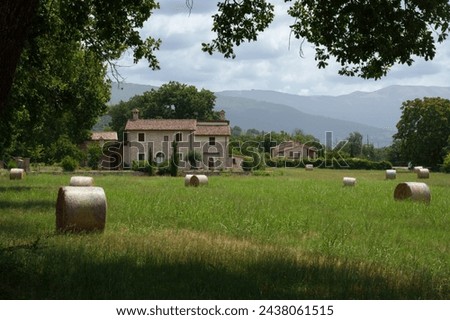 Country landscape near Spello, Perugia province, Umbria, Italy, at summer
