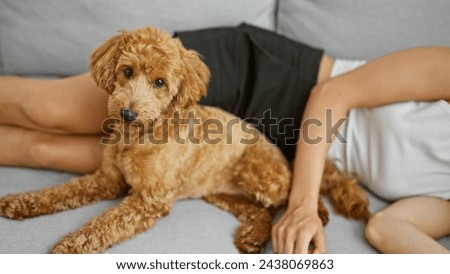 Young caucasian woman with dog lying on the sofa together at home