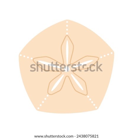 Sand dollar fossil for decoration on marine life and coastal style. Trendy flat illustration Sea cookies or snapper biscuits, pansy shells Isolated on white background. Vector illustration 
