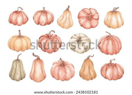 Pumpkins clip art hand drawn by watercolor. Thanksgiving, Halloween traditional symbols and fall objects. Autumn harvest