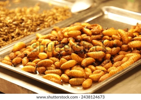 fried red palm weevil placed on stainless steel food tray in the fried insect shop, Thailand