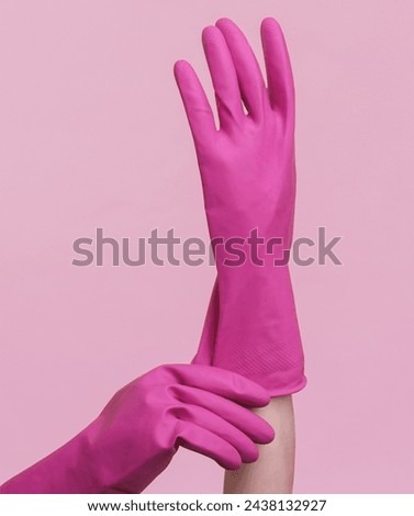 Hands in purple rubber cleaning gloves on a pink background. House cleaning and housekeeping concept