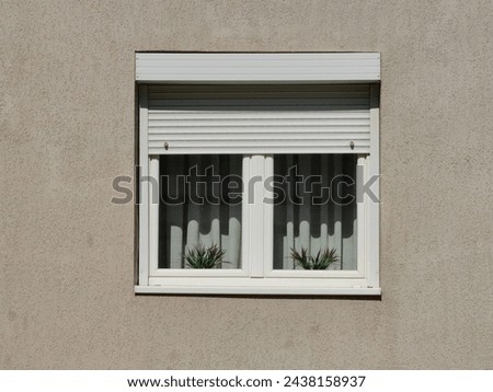 Symmetrical elegance. White blinds, window curtains and flower pots. Light and shadow. Pattern and texture. Wall background.