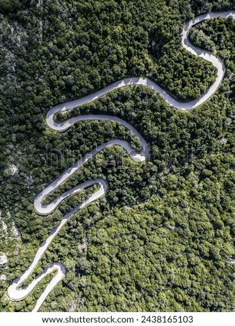 Green , snake road in Sardinia