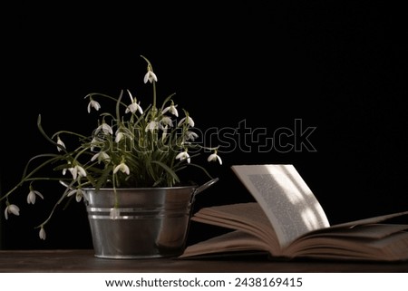 White snowdrop flowers (Galanthus nivalis) in a tin pot and book on old wooden table indoors Royalty-Free Stock Photo #2438169415