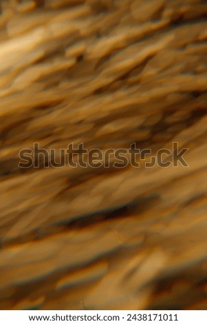 abstract sand color background with shadows copy space